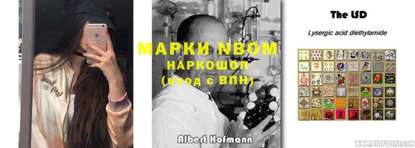 хмурый Покачи
